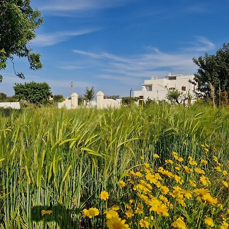 Residenza "I Tre Carrubi " Villa Fasano Kültér fotó