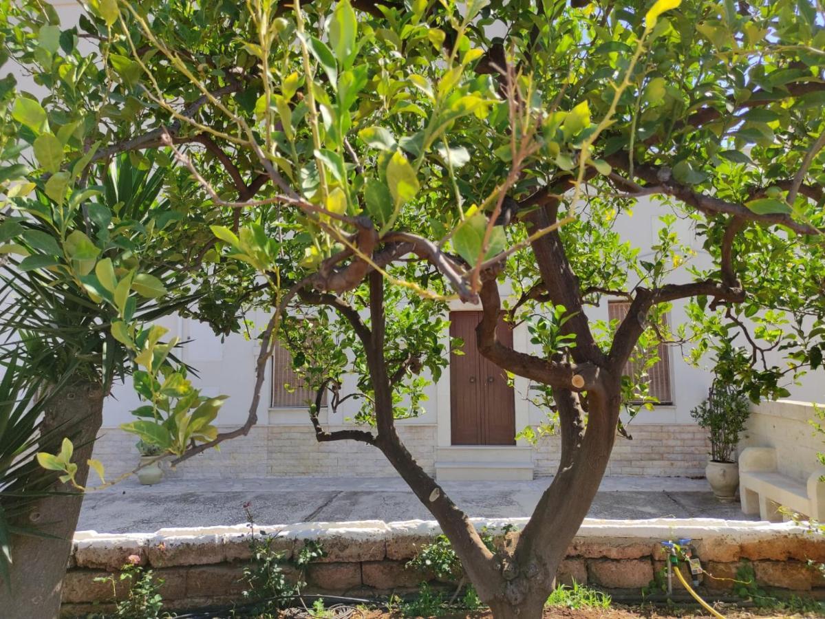 Residenza "I Tre Carrubi " Villa Fasano Kültér fotó